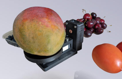 Agrosta nemesis weight recorder for fruits